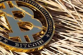 Miningbtc is the best and you can instantly own a bitcoin mining rig in our cloud server and receive passive income with just a few. Bitcoin Mining Legalized In Venezuela Miners Must Join National Pool Okoinvest English Version