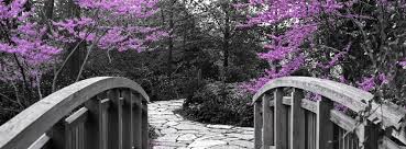 Black And White Facebook Cover Bridge Cover Pics For Facebook Facebook Cover Photos Facebook Cover