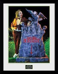 Lydia deetz (played by alyson court ). Beetlejuice Grave 30 X 40 Cm Collector Print Superbe Cadre Collector