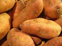 Image result for how did sweet potatoes end up in china course hero