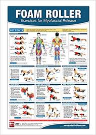 Foam Roller Myofascial Release Chart Poster Muscle