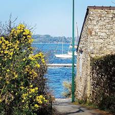 Port Blanc En Baden Brittany Ile Aux Moines Vannes Golfe Du Morbihan
