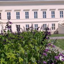 Maybe you would like to learn more about one of these? Salvia Guaranitica