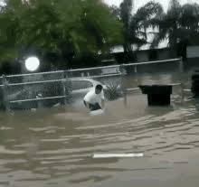 We did not find results for: Flash Flood Gifs Tenor