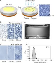 How to use emulsion in a sentence. Creating Nanoscale Emulsions Using Condensation Nature Communications