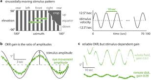 3 ways to use coffee pods wikihow : Gaze Stabilisation Behaviour Is Anisotropic Across Visual Field Locations In Zebrafish Biorxiv