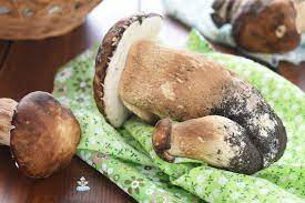 Check spelling or type a new query. Come Congelare I Funghi Porcini Cucina Serafina