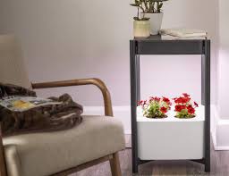 This Hydroponic Indoor Growing System Takes Up Hardly Any Space