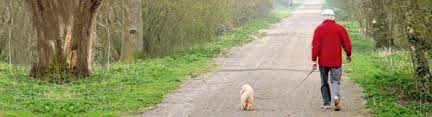 You can see how to get to community pet care hospital: About Our Veterinary Hospital In Lackawanna Veterinarians In Lackawanna Community Pet Care Hospital