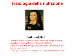 Valore nutrizionale degli alimenti dalla a alla z espresso per 1grammi di prodotto netto (ripulito da eventuali scarti, semi, bucce, ossa ecc.) alim en to kcal. Energia Degli Alimenti Slide In Pdf Docsity
