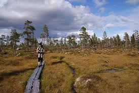 Maybe you would like to learn more about one of these? Der Sudliche Kungsleden Schweden Der Konigsweg
