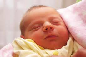 3rd Annual Geriatric Education Day Boot Camp PGY5“No Show” QI Project