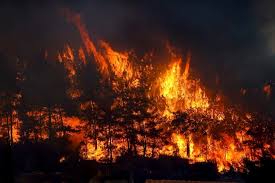 Authorities have evacuated homes in southern turkey as a forest fire rages near populated areas.strong winds have fanned the fire near the mediterranean coastal town of manavgat on wednesday, ravaging houses in the kalemler district.three people have been hospitalised with burns, one of them in serious condition.turkish security forces have helped move residents of four neighbourhoods out of. D Kwmr0baxa2ym