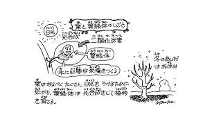 秋になるとどうして葉がかれて落ちるの 昆虫 科学なぜなぜ110番 科学 学研キッズネット