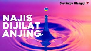 Maybe you would like to learn more about one of these? Cara Mensucikan Najis Yang Dijilat Anjing Ustadz Azkar Wardhana Lc M Pd Youtube