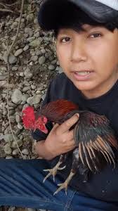 Nuevas aventuras con Calderón