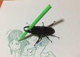Local doujin artist's pet beetle : rAnimemes
