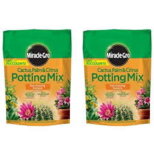 In this article we are going to help you prepare your plants for do succulents and cacti need a special kind of soil? Amazon Com Potting Mix Cactus 16 Qt 2 Bags Garden Outdoor