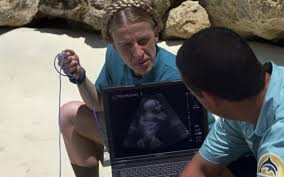  50 First Dates 2004 Movie Product Placement Seen On Screen