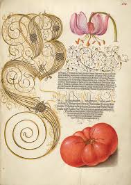 Canning whole tomatoes is perfect for beginners and this recipe will guide you through the basic process. Caught In The Spell Of Words Image Above From The Eadwine Psalter R 17 1 F 23v Trinity College Cambridge