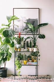 33 Beauty Indoor Plants Decor Ideas For Your Home And Apartment Plant Decor Indoor Plant Decor Natural Home Decor