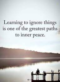 Inner Peace Quotes Learning To Ignore Things Is One Of The Greatest Paths To Inner Peace Inner Peace Quotes Peace Quotes Quotable Quotes