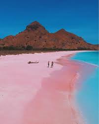 Pink Beach Komodo Island Cool Places To Visit Beautiful Places To Visit Pink Sand Beach