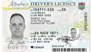 Starting november 2, 2020, travellers entering alberta at select border crossings can take part in the alberta. How To Get An Alberta Driver S Licence