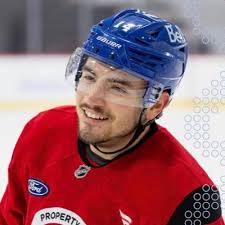 Ann Lemieux 🇨🇦Team Canada (@ann_lemieux)