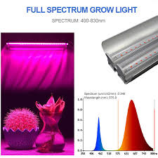 Maybe you would like to learn more about one of these? Full Spectrum Led Grow Light Strips Phyto Lamp For Plants Led Lights For Indoor Growing Flower Flowering Growth Lamp For Plant Led Grow Lights Aliexpress