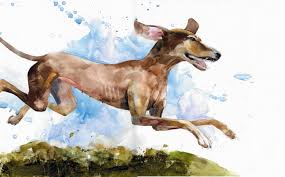 Which big dog bone is best for your large pup? The Dog That Stole Rick Bragg S Heart Garden Gun