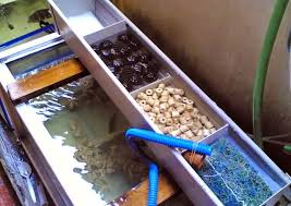 Maka dari itu, tidak baik apabila kalian mengganti air sekali dalam seminggu. Urutan Dan Susunan Media Filter Aquarium Yang Baik Dan Benar Informasi Ikan Hias Air Tawar Dan Laut Ikanhiasku Net