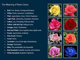 Diy Ribbon Rose Rose Color Meanings Rose Flower Colors Blue Rose Meaning