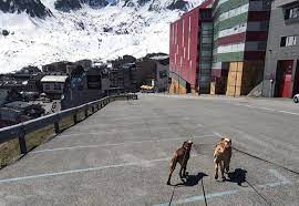 L Image En Andorre Le Pas De La Case Deserte Par Les Clients Apres La Fermeture De La Rn22 Actu Toulouse