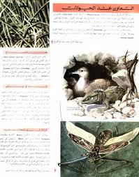 موسوعة المعرفة الأجزاء 11 24 Illustration Book Cover Books