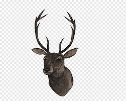 rusa berkas kepala rusa tanduk gambar format file hewan png pngwing rusa berkas kepala rusa tanduk
