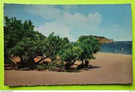 Check spelling or type a new query. Other Cities Algerie Kabylie Tigzirt Sur Mer Cpa Carte Postale Ancienne Vers 1950