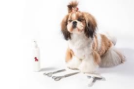Check out the latest $10 off petsmart grooming coupon & petsmart coupon. Pet Grooming Blog For Dog And Cat Owners Groomit