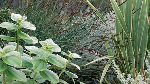 Mary Fisher Garden Design Garden Design Garden Landscape Design