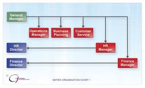 W5_al Moataz Al Hasani_ Organizational Structure Pmi Oman 2014