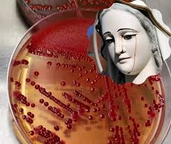 Ministerio Cristiano M.T.