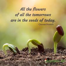 All The Flowers Of All The Tomorrows Are In The Seeds Of Today Garden Quotes Quote Garden Chinese Proverb Gardens Gardening Memes Garden Quotes Seed Quotes
