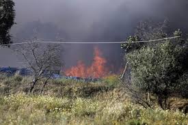 Incendio (accusative singular incendion, plural incendioj, accusative plural incendiojn). Bombeiros De Sacavem Exigem Solucao Imediata Para Desalojados Do Incendio Em Paiol Portugal Sabado