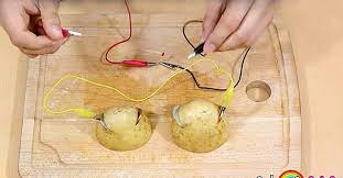 They burrow into the potato leaving holes which allows rot and other diseases access. Potato Generator A Great Experiment You Can Do At Home With Your Baby