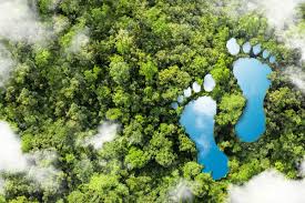 Environmental Impact