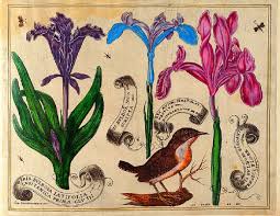 Vintage Printable E Book Pdf Livres De Fleurs 1620 Birds And Flowers Botanical Illustration Botanical Drawings Antique Botanical Print Learn how to draw simple flowers with these step by step guides made for beginners.