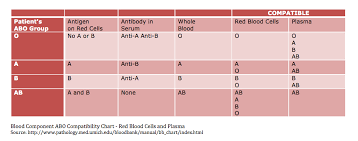 48 abundant compatibility chart for red blood cells