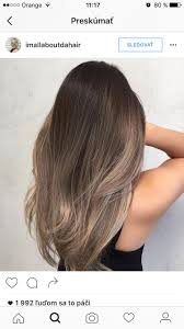 Ashy Ash Balayage Brown Hair Looks Brown Hair Balayage Ash Brown Hair Balayage