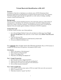 _____ notes questions for the unit 11 notes. Dna Virtual Lab Answers List Of Articles