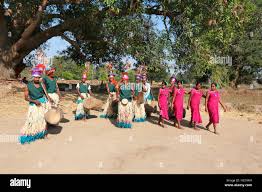 Gond tribe hi-res stock photography and ...